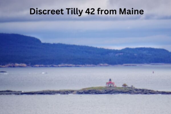 Discreet Tilly 42 from Maine