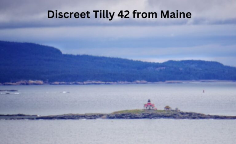 Discreet Tilly 42 from Maine: A Mysterious Adventure Unfolds